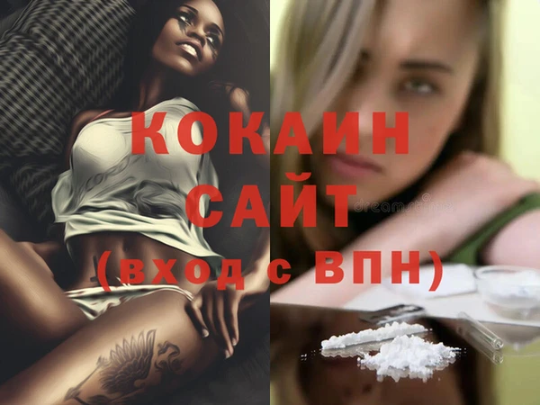 крисы Снежногорск
