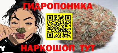 гашик Заводоуковск