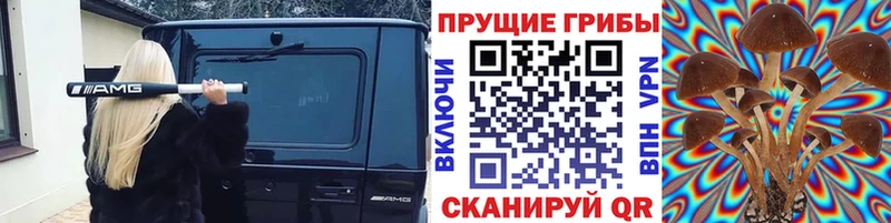 Псилоцибиновые грибы GOLDEN TEACHER  мега сайт  Славянск-на-Кубани  дарнет шоп 
