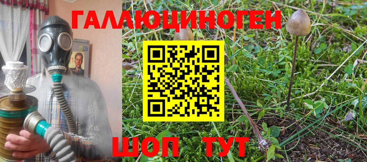 Псилоцибиновые грибы MAGIC MUSHROOMS Славянск-на-Кубани